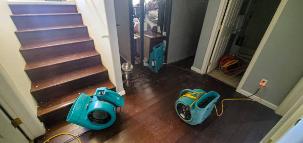 Best Ceiling water damage repair  in Watsontown, PA