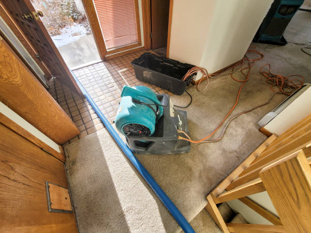 Best Flood restoration services  in Watsontown, PA
