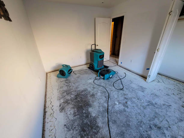 Best Sewage cleanup and water damage restoration  in Watsontown, PA