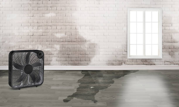 Best Water damage restoration process  in Watsontown, PA