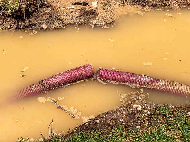 Best Basement water damage restoration  in Watsontown, PA